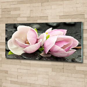 Acrylglas-Bild Wandbilder Druck 125x50 Blumen & Pflanzen Pflanzen in Gläsern