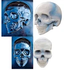 SvitMolds DIY Skull Mold Panno Concrete Plaque Cement Concrete Skull