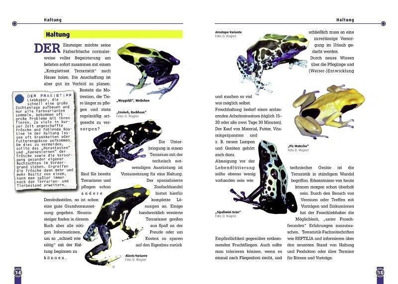 Thumbnail - Der Färberfrosch - Dendrobates Tinctorius Dirk Wagner 9783866590694