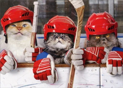 AVANTI PRESS Hockey Cats Funny Birthday Card - Greeting Card by Avanti