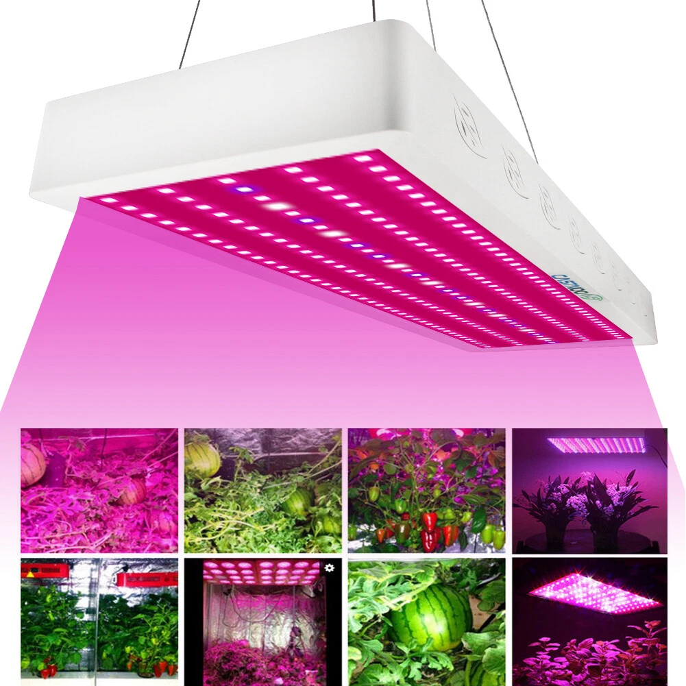 Castnoo grow light deals