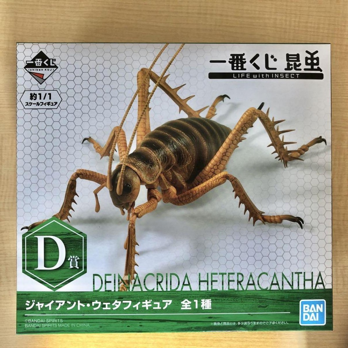 一番くじ 昆虫 D賞 ジャイアント・ウェタ フィギュア Giant Weta Life with Insect figure Ichiban kuji Prize D actual