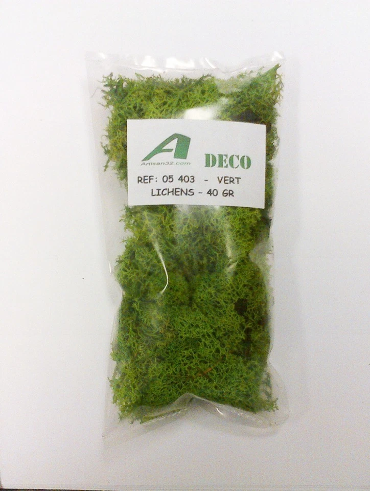 LICHEN VERT MOYEN - Artisan32 - 05403 - Photo 1/1