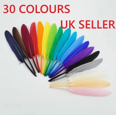 10-15cm Goose Feathers Arts Crafts Hat Costume Wedding Colour UK