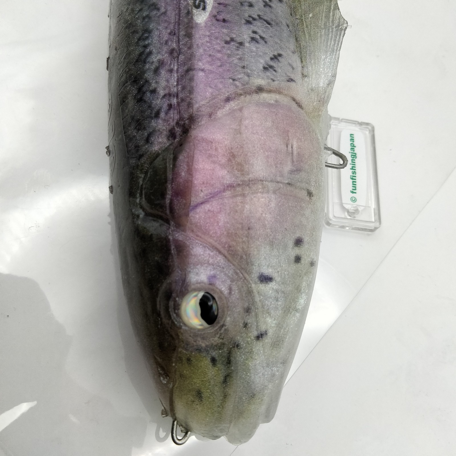 Signal Ultra Carp Rainbow Trout Giant swimbait Japan fishing lure HTF rare JDM - Image 18