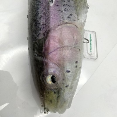 Signal Ultra Carp Rainbow Trout Giant swimbait Japan fishing lure