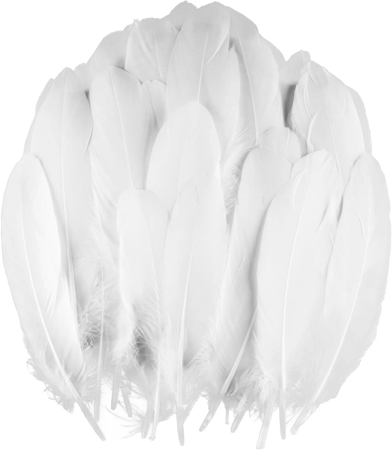 White Craft Feathers