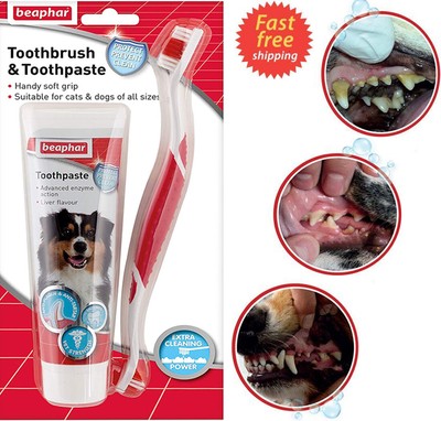 beaphar toothbrush and toothpaste kit