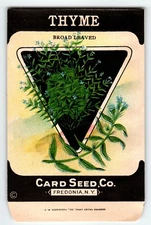 Broad Leaved Thyme 1920's Card Seed Co Packet EMPTY Vintage Fredonia New York NY