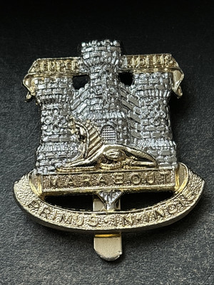 Devonshire und Dorset Regiment eloxiertes Aluminium Staybright Mützenabzeichen Dübel