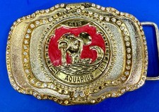 Aquarius Water Bearer Horoscope Astrological Zodiac Sign Rhinestone Belt Buckle