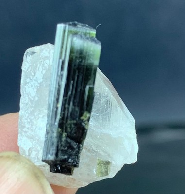 tourmaline in quartz matrix  natural specimen dimension 25 17 12 wight is 5.2 gm