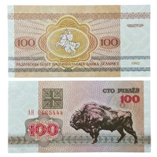 Belarus P8(U) 100 Rublei - UNC Banknote 🇧🇾 Free Shipping!!!