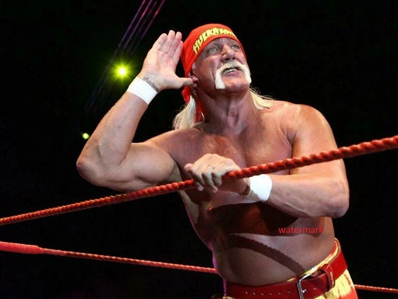 Ebay hogan deals