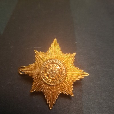Irish Guards Mützen-/Uniformabzeichen gold anfarben 5 cm Durchmesser mit Spaltnadel