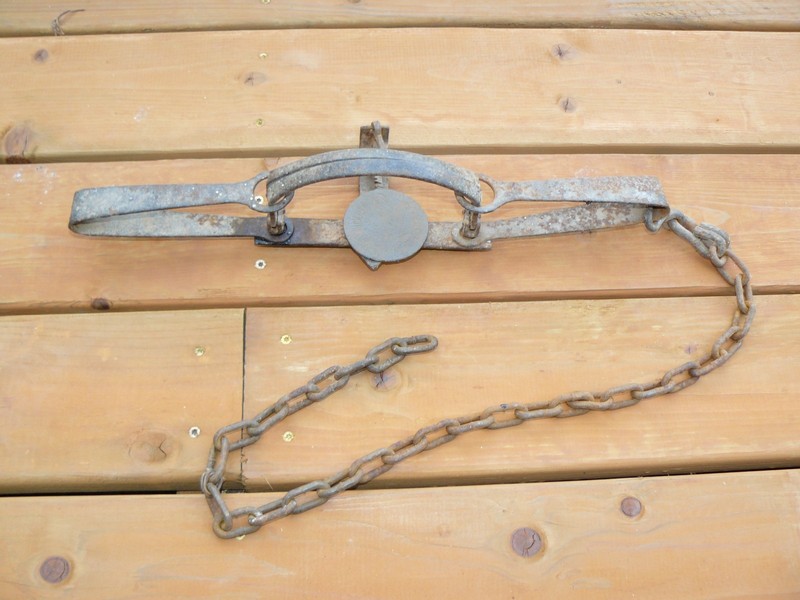 Vintage Newhouse Oneida Trap with 4-3/4" Jaws - Untested for Decor