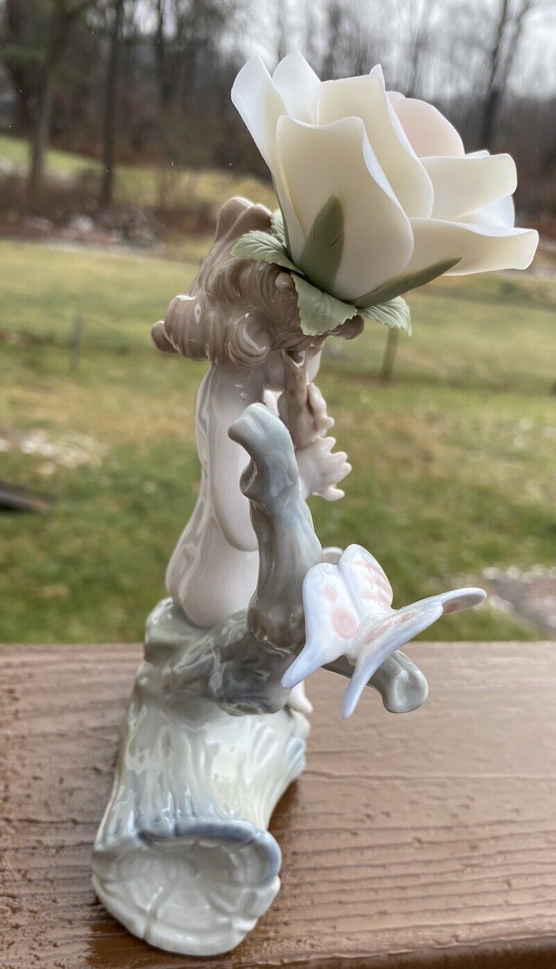 Picture 6 of 7