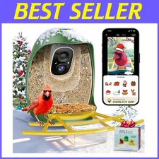 Exquisite Gift for Bird Lovers: Feeder & Camera