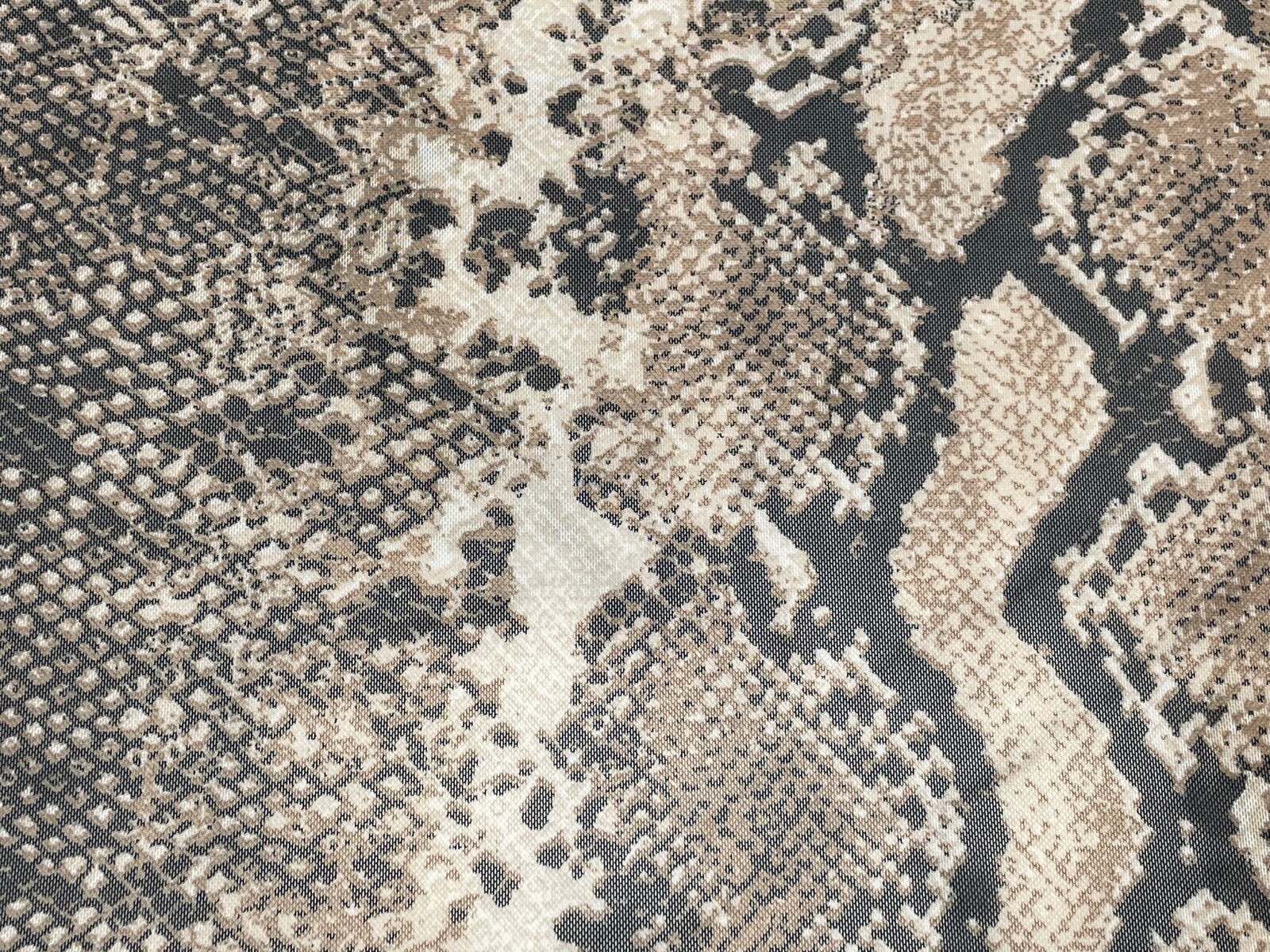 Picture 4 of 6