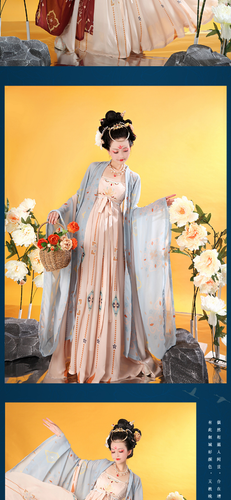 Women Hanfu Traditional Chinese Festival Outfit Embroidery Stage Dance Costumes - Picture 21 of 26