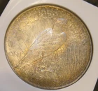 1925 Peace Silver Dollar - UNC, toning both sides, 83