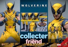 IN STOCK Hot Toys MMS753 Deadpool & Wolverine Wolverine Collector Ver. 1/6 NEW