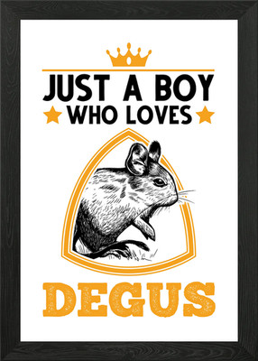 Just A Boy Who Loves Degus Gerahmtes Wandbild Poster Leinwanddruck Bild