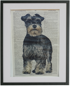 miniature schnauzer items