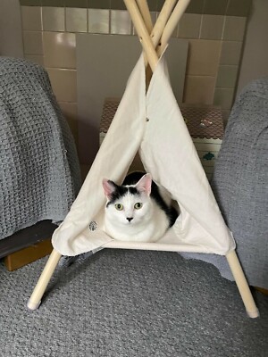 Luxus Haustierzelt gemütliches Haus Tipi Katze Kaninchen Teddy sicherer Platz für pelzigen Freund