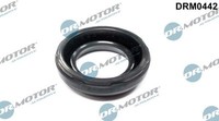 Dr.Motor Automotive DRM0442 Dichtung, Zylinderkopfhaube Passend FüR Subaru