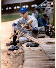 Babe Herman Detroit Tigers  Colorized 8x10 Print-FREE SHIPPING