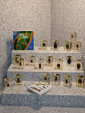 EDU Science Acrylic Entomology Specimens 19 Pcs Bugs Educational 