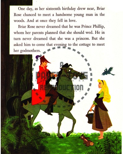 SLEEPING BEAUTY PAPER DOLL ACTIVITY BOOK - ONLY STORY PAGES BOOKLET - REPRINT - Picture 8 of 16