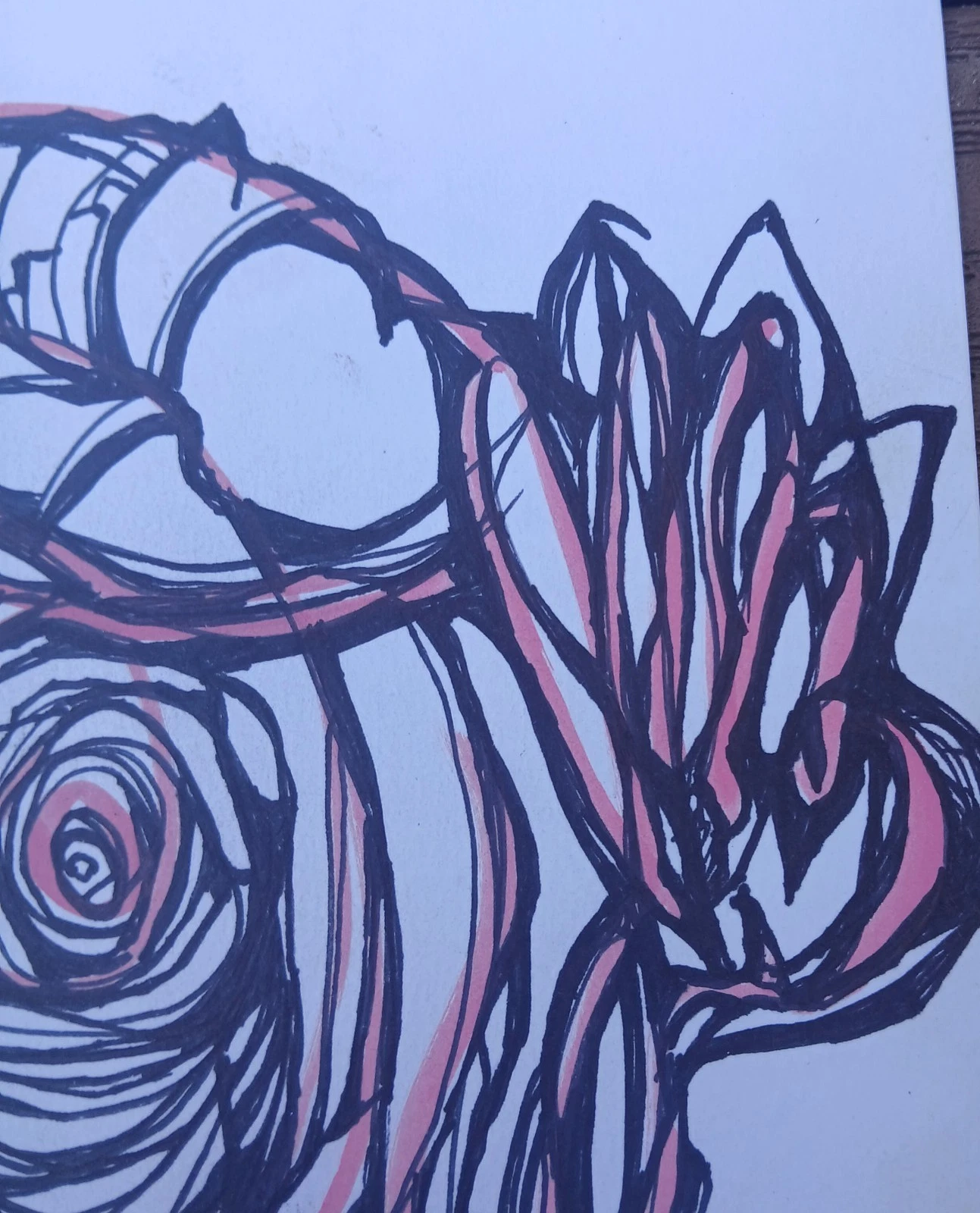 Picture 10 of 24