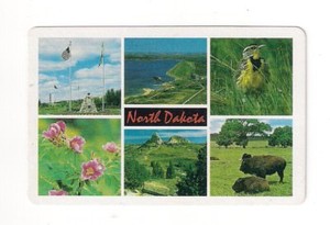souvenir deck playing cards, state North Dakota, bison, prairie rose, meadowlark