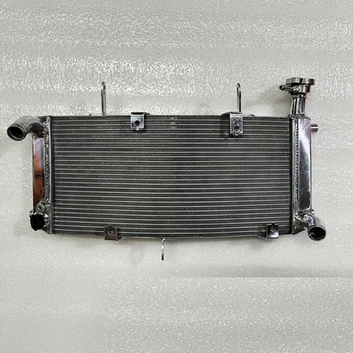 Aluminum Radiator Cooler Fit For Benelli 752s BJ750GS 2018-2021 2019 2020 2021 - Picture 1 of 2