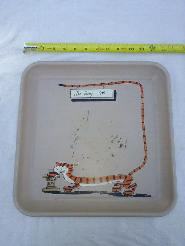 SALE PRICE Vintage Princeton University 1919 Alumnus Hand-painted drinks tray
