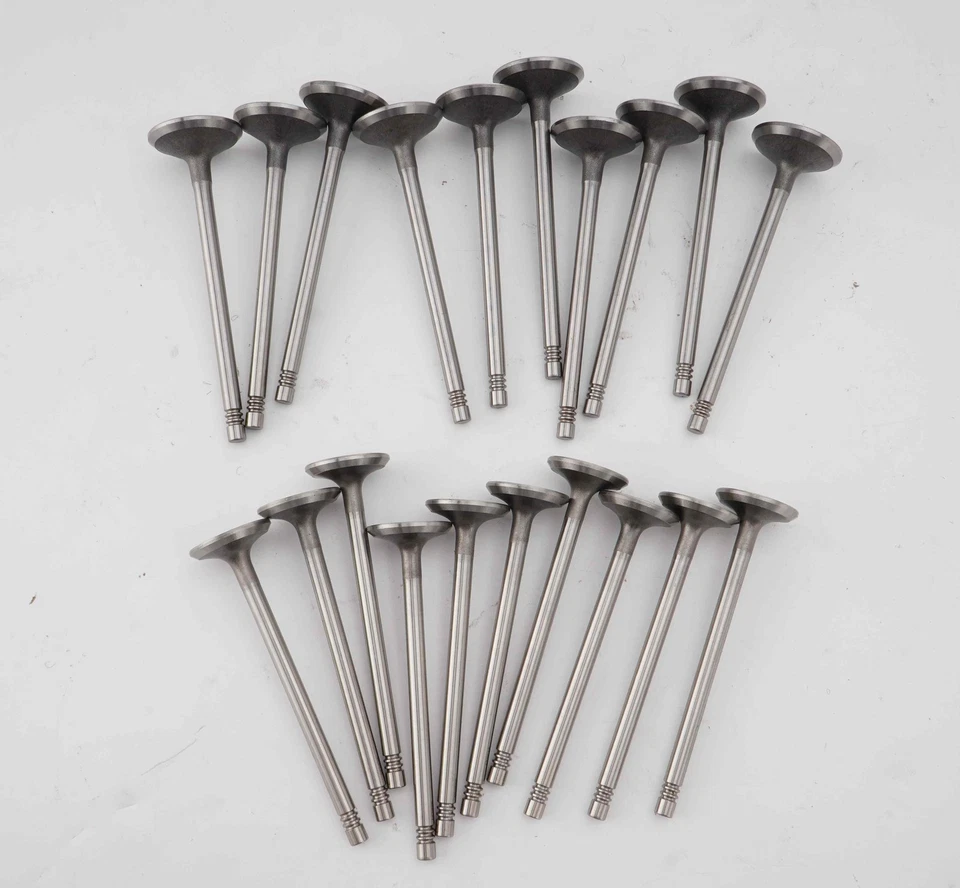 Válvulas de admisión y escape de 20 piezas para Volvo XC60 XC70 XC90 C30 S60 S70 1998-2016 Foto 4 de 4