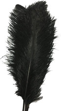 10Pcs Ostrich Feathers 10-12Inch Plumes for Wedding Centerpieces Home Decoration