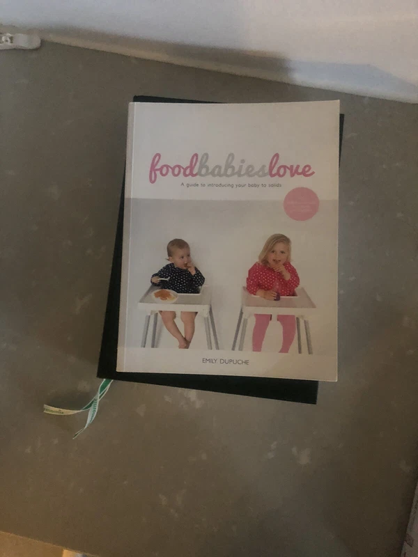 food babies love book