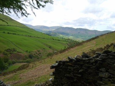 Foto 6x4 Aus dem Wald High Lorton an der Flanke von Graystones um 2009