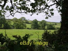 Photo 6x4 Near Henderbarrow Farm Beaworthy A stream follows the line of t c2007
