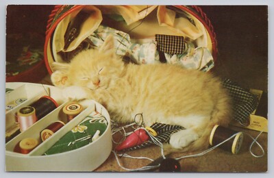 Cat Nap - Yellow Tabby Kitten Cat Asleep Sewing Box Thread UNP