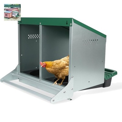 Hühner Nistkasten Metall 2-Loch Eierbox legekasten Hühnerstall Grün