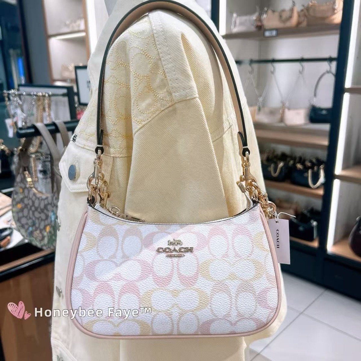 NWT Coach Teri Mini Crossbody Bag In Pretty Signature Canvas CDW52