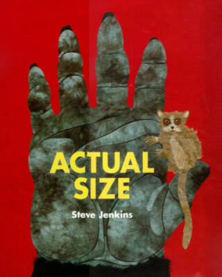 Actual Size (Bccb Blue Ribbon Nonfiction Book Award (Awards)) - ACCEPTABLE