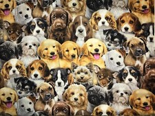 Quilt, Sew Fabric- Elizabeth Studios Adorable Pets 3800 Mulit - puppies