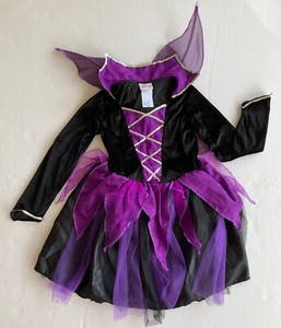 vidia fairy costume