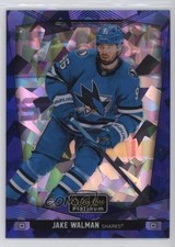 2024-25 O-Pee-Chee Platinum Blue Fragments 102/125 Jake Walman #42 3ir