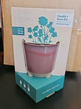 Glow And Grow Candle And Grow Kit, With Daisy Seeds . Modern Sprout.